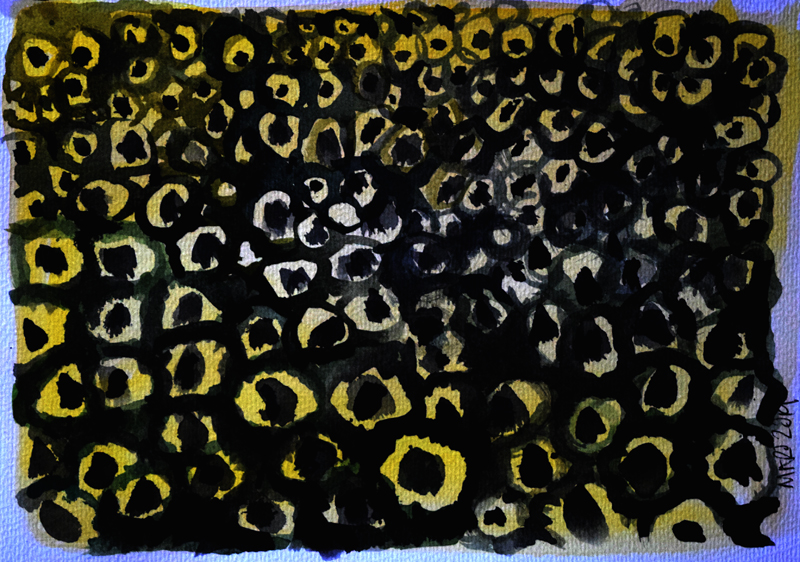 fieldofpoppies